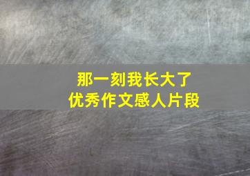 那一刻我长大了优秀作文感人片段