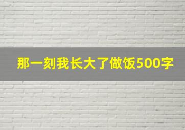 那一刻我长大了做饭500字