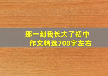 那一刻我长大了初中作文精选700字左右