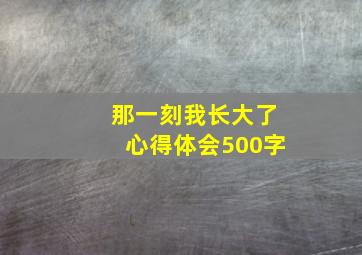 那一刻我长大了心得体会500字