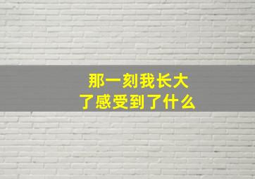 那一刻我长大了感受到了什么