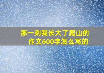 那一刻我长大了爬山的作文600字怎么写的