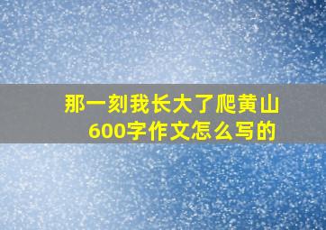 那一刻我长大了爬黄山600字作文怎么写的