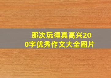 那次玩得真高兴200字优秀作文大全图片