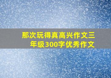 那次玩得真高兴作文三年级300字优秀作文