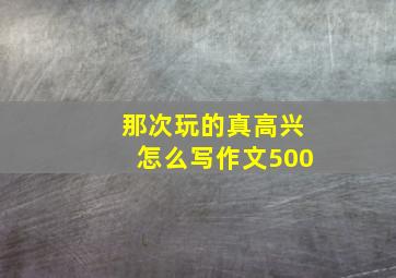 那次玩的真高兴怎么写作文500