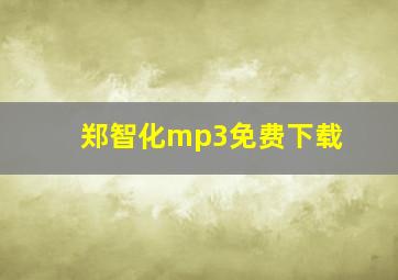 郑智化mp3免费下载