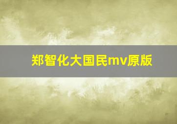 郑智化大国民mv原版