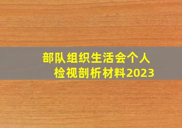 部队组织生活会个人检视剖析材料2023