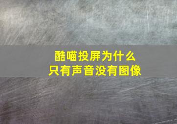 酷喵投屏为什么只有声音没有图像