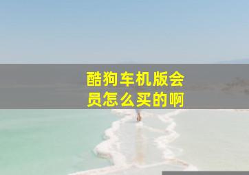 酷狗车机版会员怎么买的啊