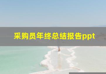 采购员年终总结报告ppt