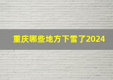 重庆哪些地方下雪了2024