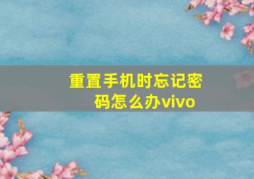 重置手机时忘记密码怎么办vivo