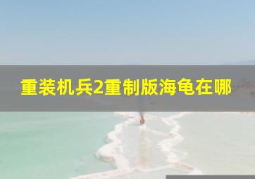 重装机兵2重制版海龟在哪