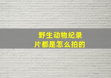 野生动物纪录片都是怎么拍的