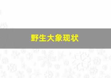 野生大象现状