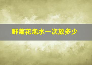 野菊花泡水一次放多少