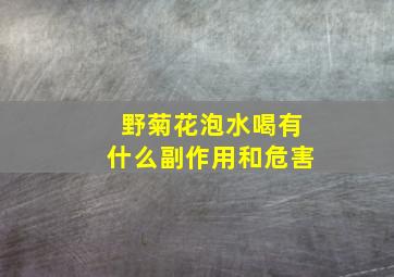 野菊花泡水喝有什么副作用和危害