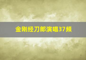 金刚经刀郎演唱37频