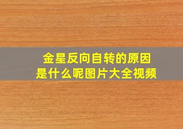 金星反向自转的原因是什么呢图片大全视频