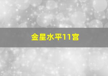 金星水平11宫