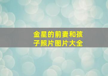 金星的前妻和孩子照片图片大全