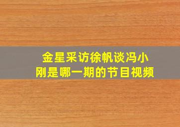 金星采访徐帆谈冯小刚是哪一期的节目视频