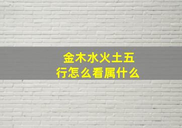 金木水火土五行怎么看属什么