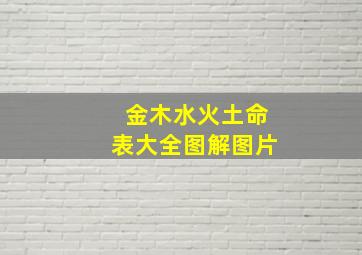 金木水火土命表大全图解图片