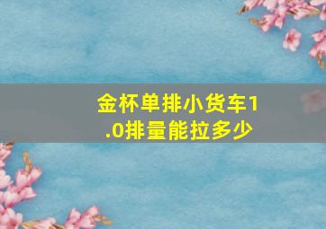 金杯单排小货车1.0排量能拉多少