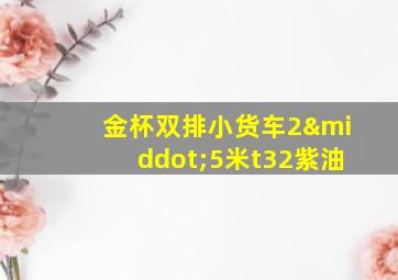 金杯双排小货车2·5米t32紫油