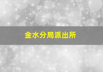 金水分局派出所