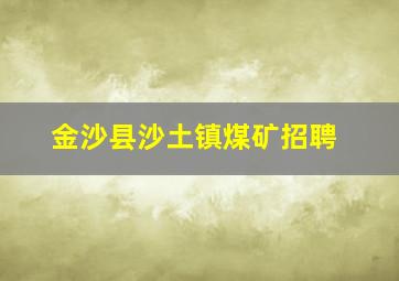 金沙县沙土镇煤矿招聘