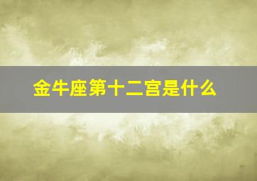 金牛座第十二宫是什么