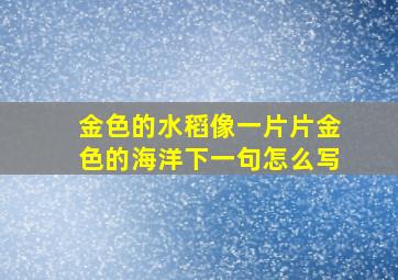 金色的水稻像一片片金色的海洋下一句怎么写