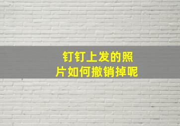 钉钉上发的照片如何撤销掉呢