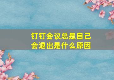 钉钉会议总是自己会退出是什么原因