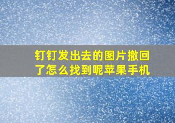 钉钉发出去的图片撤回了怎么找到呢苹果手机