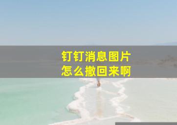 钉钉消息图片怎么撤回来啊