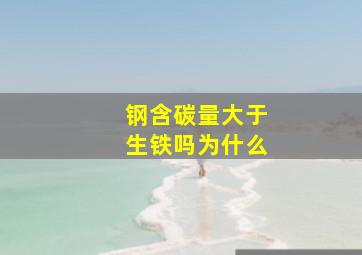 钢含碳量大于生铁吗为什么