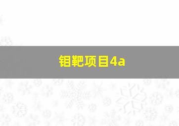 钼靶项目4a