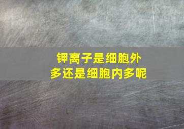 钾离子是细胞外多还是细胞内多呢