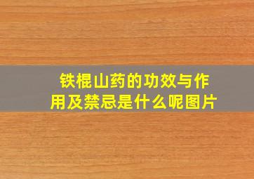 铁棍山药的功效与作用及禁忌是什么呢图片