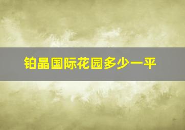 铂晶国际花园多少一平