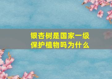 银杏树是国家一级保护植物吗为什么