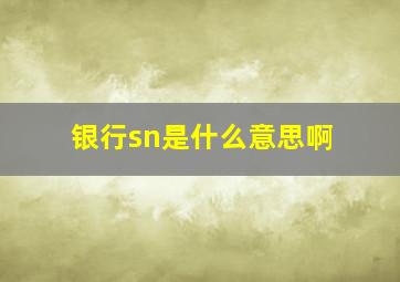 银行sn是什么意思啊