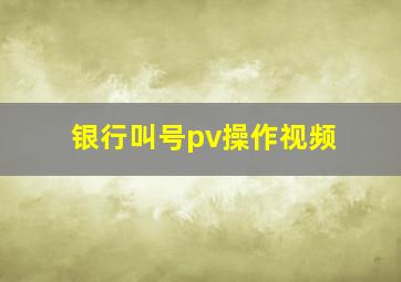 银行叫号pv操作视频