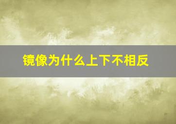 镜像为什么上下不相反