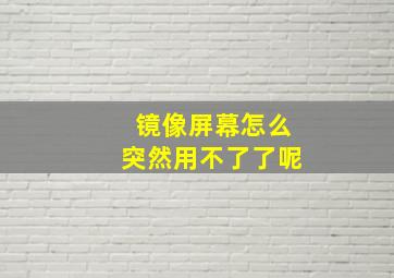 镜像屏幕怎么突然用不了了呢